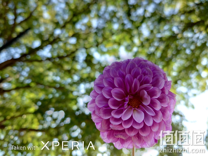 Sony 超旗舰 Xperia Pro-I 单反手机发布：搭载RX100VII 1英寸感光元件