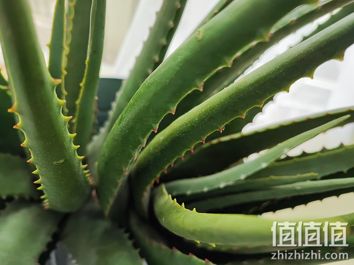 小米11T Pro 评测:平价S888,搭载120W快充