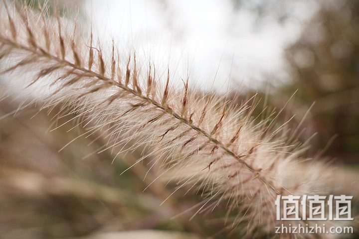 Tamron 28-75mm F/2.8 Di III VXD G2 新旧对决：对焦提升、散景表现更优异！