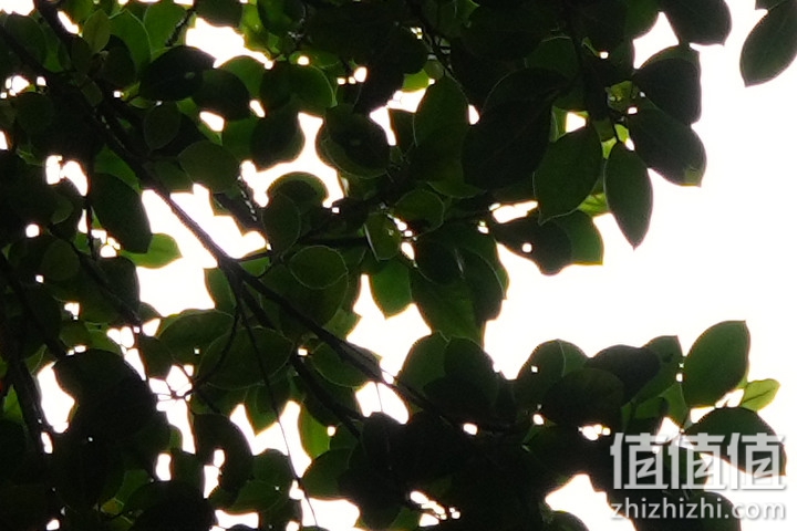 Tamron 28-75mm F/2.8 Di III VXD G2 新旧对决：对焦提升、散景表现更优异！