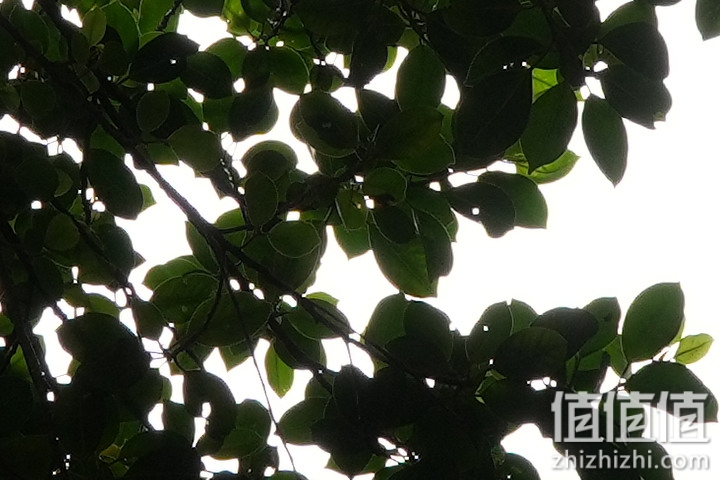 Tamron 28-75mm F/2.8 Di III VXD G2 新旧对决：对焦提升、散景表现更优异！