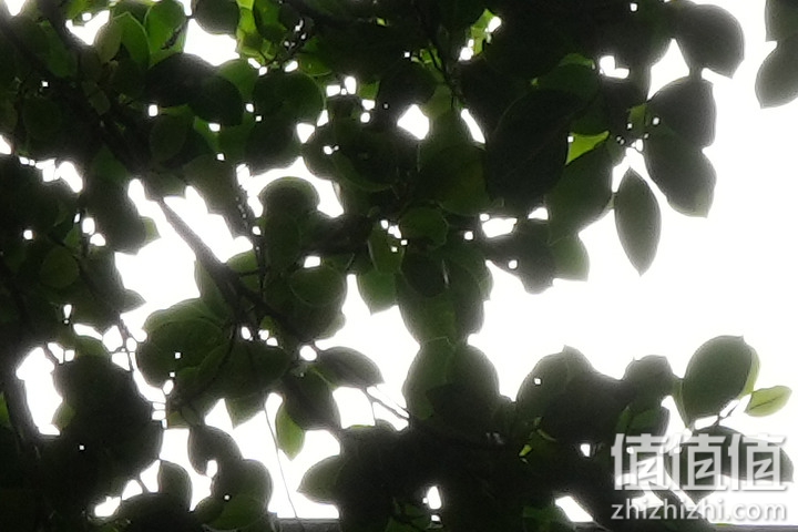 Tamron 28-75mm F/2.8 Di III VXD G2 新旧对决：对焦提升、散景表现更优异！