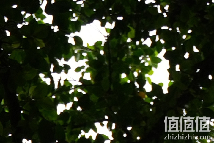 Tamron 28-75mm F/2.8 Di III VXD G2 新旧对决：对焦提升、散景表现更优异！