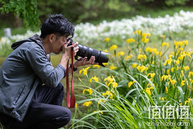 尼康Nikkor Z 100-400mm f/4.5-5.6 VR S镜头