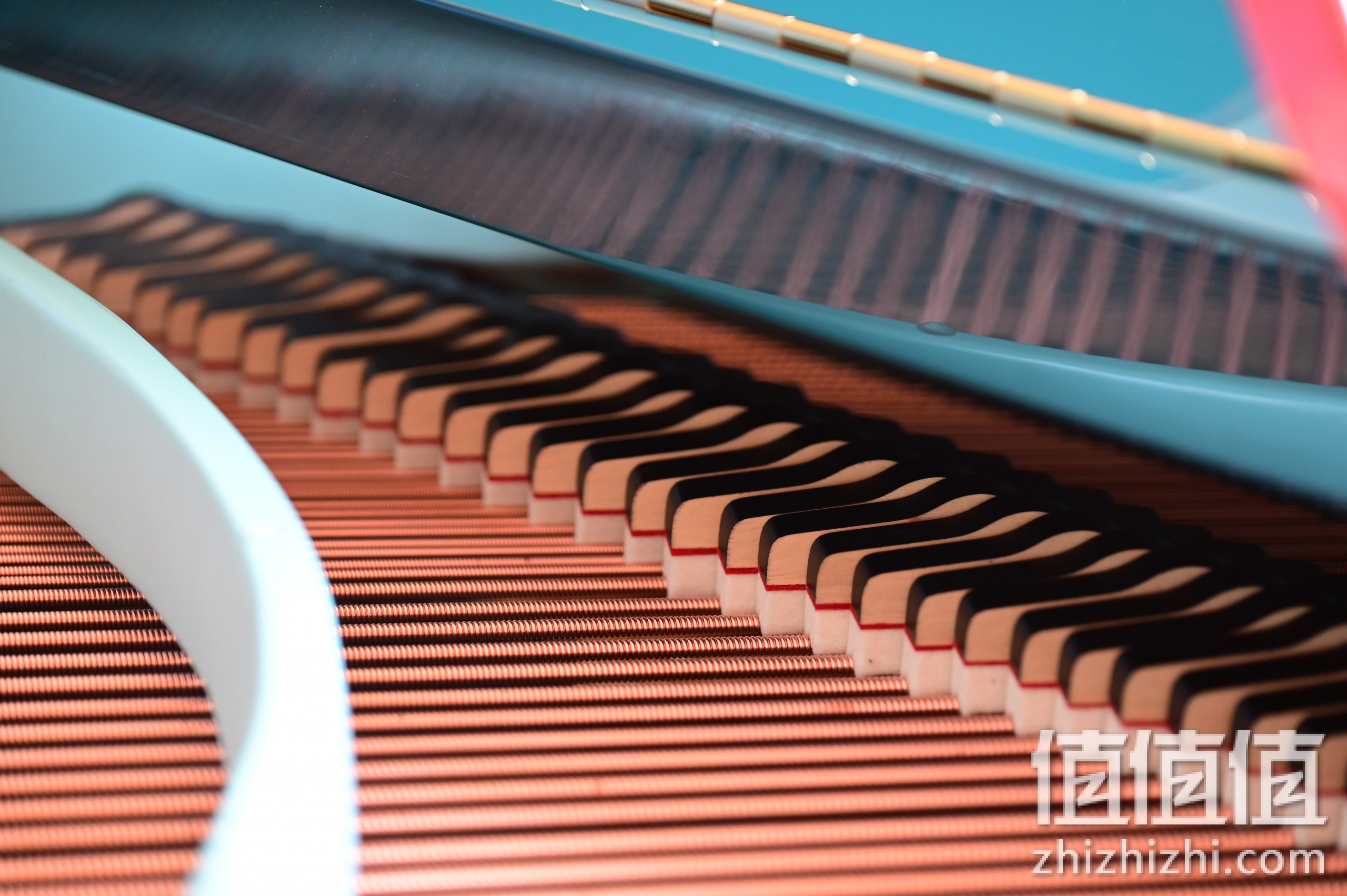 尼克尔Z 24-120mm f/4 S样张