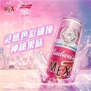 Budweiser/百威 果味啤酒310ml*10罐 新品整箱