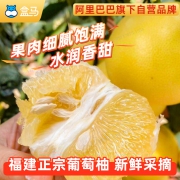 盒马 福建黄金葡萄柚礼盒装 单果400gx5斤