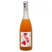 PLUS会员：青序 古越龙山 青序贵梅酒 500ml*2件