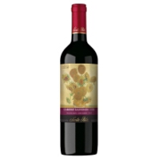 圣丽塔 国家画廊系列 典藏赤霞珠 干红葡萄酒 750ml