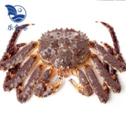 【活鲜】乐食港 鲜活帝王蟹俄罗斯进口3.6-4斤/1只大螃蟹海鲜水产