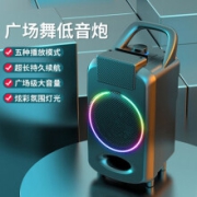 黑沙（HEISHA） 蓝牙音箱大音量-手提广场舞音箱