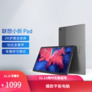 京东超市联想平板（Lenovo）11英寸 联想小新pad 影音办公学习考研网课安卓全面屏二合一平板电脑  莱茵护眼全面屏 6GB+128GB