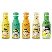 小茗同学 缤治 果味茶饮料 480ml*15瓶