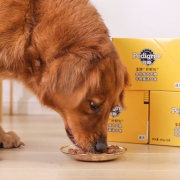 猫超次日达，高汤+大块肉：100gx12包 Pedigree宝路 成犬妙鲜包 整盒装 3口味
