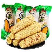 小马乐活 东北甜糯花玉米 230g/支 10支装