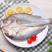渔人渡 珠海白蕉海鲈鱼 400-350g（单条装)