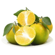 水果蔬菜 广东韶关皇帝柑 精选5斤 中大果