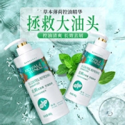 追风 去屑洗发露 控油怡神型 480g