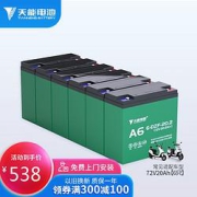 TIANNENGBATTERY天能电池72V20AH电动车电瓶6-DZF-20（6只装）