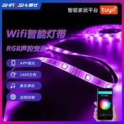 ZHAOSHI朝仕RGB天猫精灵灯2m