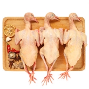 山野色 散养足龄乳鸽 330g*3只 现杀现发