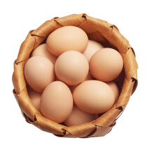 田园居 A级新鲜鸡蛋土鸡蛋 谷物喂养鲜鸡蛋无抗生素鸡蛋 10枚装
