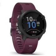 GARMIN佳明Forerunner245智能手表