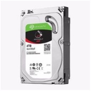 SEAGATE 希捷 酷狼系列 4TB SATA3 (ST4000VN008)