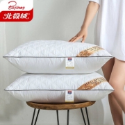 Bejirog 北极绒 枕头枕芯40*60cm一对装