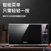 Galanz 格兰仕 ZSS-S20 微波炉