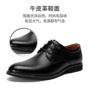 REDDRAGONFLY红蜻蜓男士皮鞋WTA01711