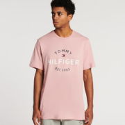 Tommy Graphic 男款短袖tee