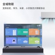 双11预售：CHANGHONG 长虹 65D5P 液晶电视 65英寸 4K