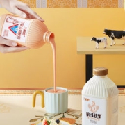 兰格格 蒙古草原酪酸乳炭烧酸奶 1000g*2桶 两口味