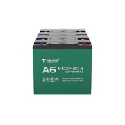 TIANNENGBATTERY天能电池经典款48V20AH（4只）以旧换新