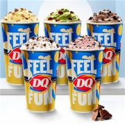 聚划算百亿补贴：DQ 2份猛料大杯暴风雪 口味5选1 电子优惠券 分次兑换