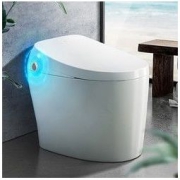 HEGII 恒洁 QE5 家用全自动坐便器 305mm