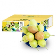 京觅 新疆一级库尔勒香梨 2.5kg（单果100g-120g）*4件