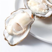 PLUS会员：艚旺鲜汇 乳山生蚝 带箱5斤 XXXXL号 190g-240g*2件