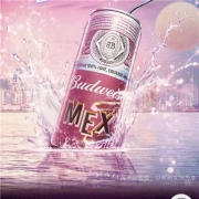 百威 果味啤酒 310ml*10听/箱
