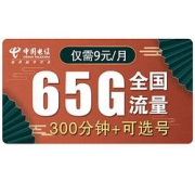 CHINATELECOM中国电信紫星卡9元/月（35G通用+30G定向+300分钟）