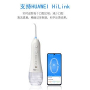 惠齿 智能电动冲牙器 HW108 300mL