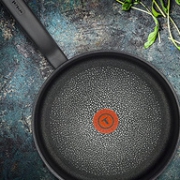 Tefal 特福 硬质氧化不粘平底锅 20cm C69502