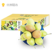 PLUS会员：京觅 特级库尔勒香梨 2.5kg