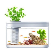 画法几何 迷你金鱼缸水族箱免换水客厅玄关智能创意桌面办公室懒人亚克力小型生态鱼缸家用