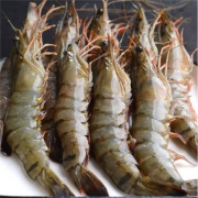 PLUS会员：觅客 活冻黑虎虾 500g *3