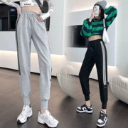 冰洁 加绒束脚运动裤 女款休闲卫裤 多色
