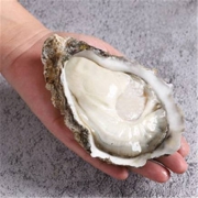 PLUS会员：参味臻鲜 乳山生蚝 XXXXL特大号 5斤*2件