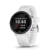 GARMIN 佳明 Forerunner 245 音乐智能跑步手表 音乐版 到手约1668.14元