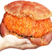 PLUS会员：首鲜道熟冻面包蟹2只1.6kg-2kg
